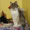 Отзыв от Фаина Вавилова